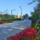 서인공원 이미지