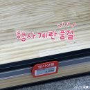 남대전농협 하나로마트 | 세종 보람동 하나로마트 오픈 세일 기간 채소값 짱좋음