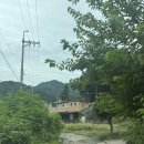 스테이수목