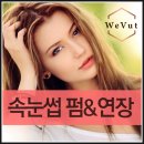 위벗(Wevut)