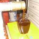 양지농장 이미지