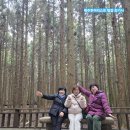 성읍신토불이 | 제주 관광버스 대절 기사 포함 제주도 단체여행 후기