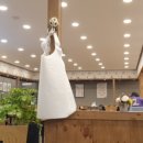 언양닭칼국수 장림점 이미지