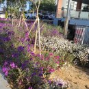 비아동 행정복지센터 이미지