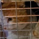 두류3동행정복지센터 이미지