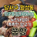 꿉양 | [대구 달서구] 월성동 양갈비 맛집 &#34;꿉양&#34; 상세정보&amp;후기/ 신월성 양고기전문점