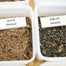 자연염색박물관 이미지