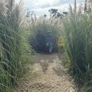 파인클라우드 이미지