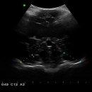 하인츠동물병원 이미지