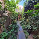 유일카프라자 이미지