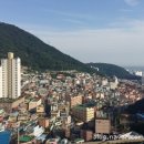 감천문화마을 네이버블로그
