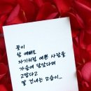 오늘은꽃데이