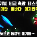 싸다오피싱