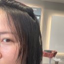 동안구청사 | 느아브 헤어 과천정부청사미용실 C컬펌으로 인생머리 한 후기