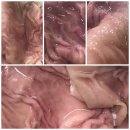 홍석축산 이미지