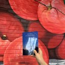 스테이인라움 이미지