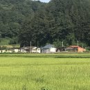 청춘체육관 이미지