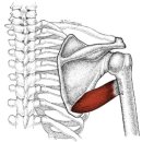뉴욕휘트니스 이미지