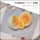 우프동물농장 | 우프동물농장 자연방사 유정란 "청계란" 후기 효능까지!