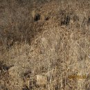 대전리약수터 이미지