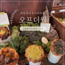 강릉 인생 디저트 카페 오프더월 빵지순례 타르트 종류별 내돈내산 후기