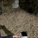 블박설치