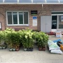 신산리마을회관 이미지