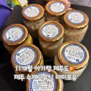 포유 | 11개월 아기랑 제주도 | 마미포유 후기이유식 구입후기