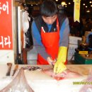 윤하수산 Daum카페