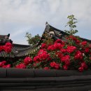 전서로(풍천면) Daum카페