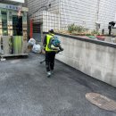 서울빌딩 | 장애인주차선도색 서울 시계탑빌딩 주차장도색 시공 후기