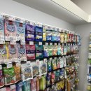 펫츠아일랜드진주