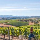 자연과 함께하는 하룻밤 이미지