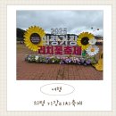 의령정비 | 의령 호국의병의숲 기강리치 가을꽃 축제 후기