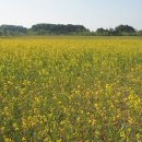 매향리 평화생태공원 이미지