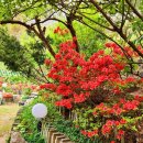 영산홍민박 이미지