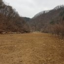 가평전원공인중개사사무소 이미지