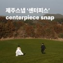 제주스냅 센터피스 스냅 centerpiece snap 예약후기 | 센터피스 + 니브 토탈샵 패키지