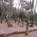 장복산길 이미지