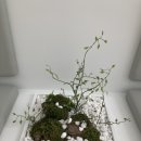 브레댄코 부천옥길점