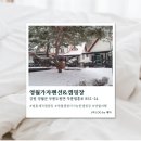 무릉도원면-24 이미지