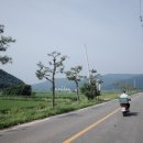 세븐일레븐 창녕이방옥야점 이미지