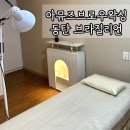 아뮤즈브로우왁싱