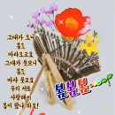 꽃 피는 계절 Daum카페