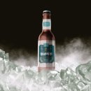 청년맥주 이미지