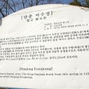 단종 어수정 이미지