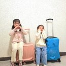 아기기린의옷장 | [제품소개]아이와 대만 여행 준비, 승용 캐리어 2종 전격 비교 (지아지조 vs 가성비 핑크)
