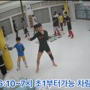 북구팀매드