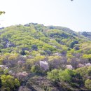 동서당한약방