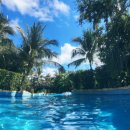 미래카타운 | 푸꾸옥 혼똔섬 케이블카, 썬월드 워터파크 다녀옴.